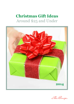 Christmas Gift Ideas Around $25 and Under 2014