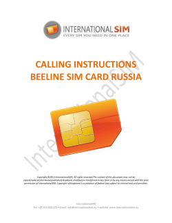 CALLING INSTRUCTIONS BEELINE SIM CARD RUSSIA