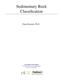 Sedimentary Rock Classification Dana Desonie, Ph.D. Say Thanks to the Authors