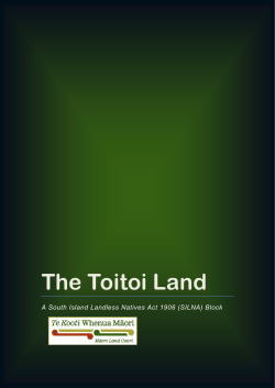 The Toitoi Land