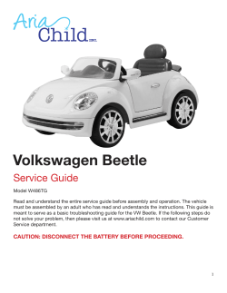 Volkswagen Beetle Service Guide