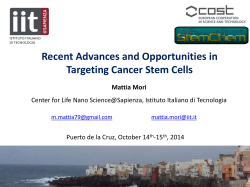 Recent Advances and Opportunities in Targeting Cancer Stem Cells