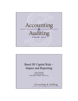 Basel III Capital Rule – Impact and Reporting Nancy Fitzgerald Lead Risk Specialist