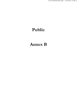 Public Annex B