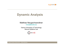 Dynamic Analysis Matthias Neugschwandtner Vienna University of Technology Secure Systems Lab