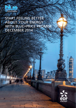 START FEELING BETTER ABOUT YOUR ENERGY WITH BLUE+PRICE PROMISE DECEMBER 2014