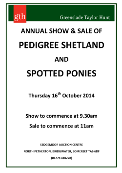 PEDIGREE SHETLAND SPOTTED PONIES ANNUAL SHOW &amp; SALE OF AND