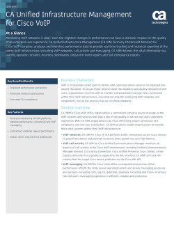 CA Unified Infrastructure Management for Cisco VoIP At a Glance