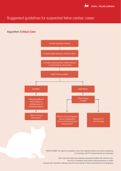 Suggested guidelines for suspected feline cardiac cases Algorithm Critical Care