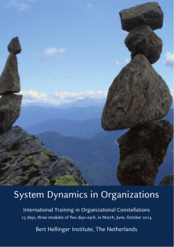 System Dynamics in Organizations Bert Hellinger Institute, The Netherlands