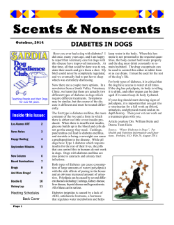 Scents &amp; Nonscents DIABETES IN DOGS
