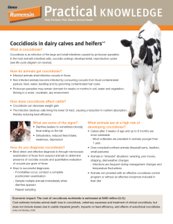Practical KNOWLEDGE Coccidiosis in dairy calves and heifers
