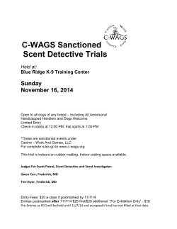 C-WAGS Sanctioned Scent Detective Trials  Sunday