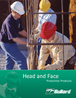 Head and Face Protection Products