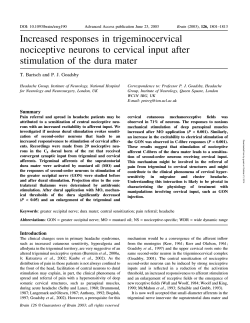 Increased responses in trigeminocervical nociceptive neurons to cervical input after