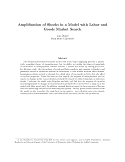 Amplification of Shocks in a Model with Labor and Jan Duras