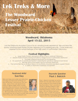 Lek Treks &amp; More The Woodward Lesser Prairie-Chicken Festival