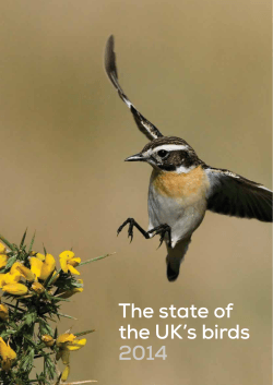 The state of the UK’s birds 2014 1