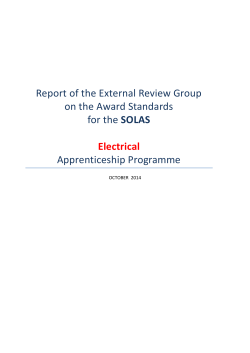 Report of the External Review Group on the Award Standards SOLAS