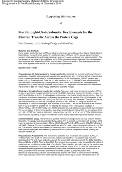 Ferritin Light-Chain Subunits: Key Elements for the Supporting Information of
