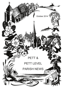 PETT &amp; PETT LEVEL PARISH NEWS March 2014