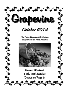 Grapevine  October 2014 Harvest Weekend
