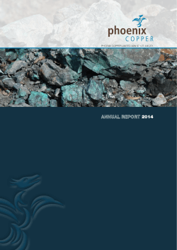 ANNUAL REPORT PHOENIX COPPER LIMITED ABN 67 127 446 271