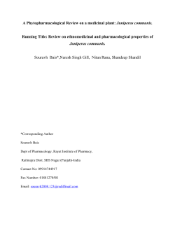Juniperus communis. Running Title: Review on ethnomedicinal and pharmacological properties of