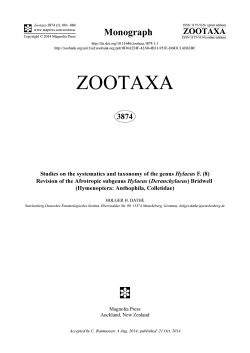Monograph ZOOTAXA