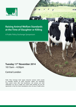 Raising Animal Welfare Standards at the Time of Slaughter or Killing