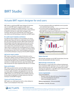 BIRT Studio Actuate BIRT report designer for end users Product Sheet