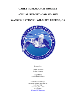 CARETTA RESEARCH PROJECT  ANNUAL REPORT – 2014 SEASON
