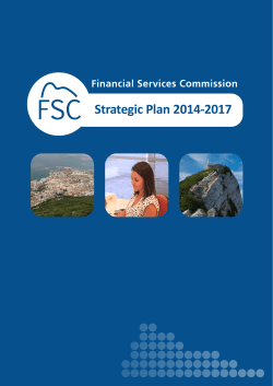 Strategic Plan 2014-2017