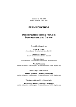FEBS WORKSHOP Decoding Non-coding RNAs in Development and Cancer
