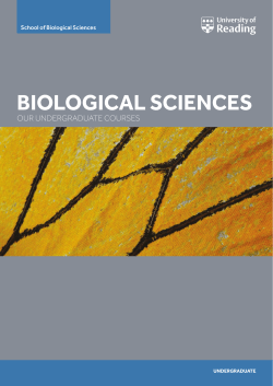 BIOLOGICAL SCIENCES OUR UNDERGRADUATE COURSES Undergraduate School of Biological Sciences
