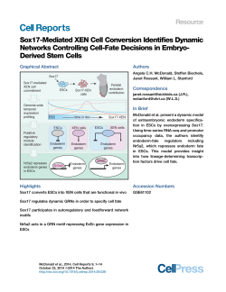 Sox17-Mediated XEN Cell Conversion Identifies Dynamic