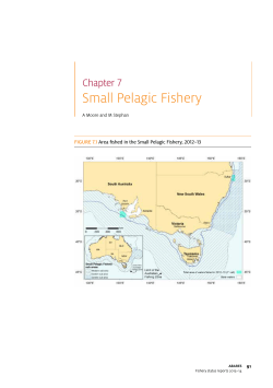 Small Pelagic Fishery Chapter 7 FIGURE 7.1