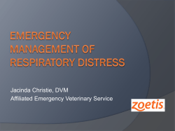Jacinda Christie, DVM Affiliated Emergency Veterinary Service