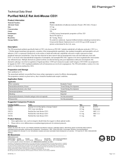 BD Pharmingen™ Purified NA/LE Rat Anti-Mouse CD31 Technical Data Sheet Product Information