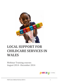 LOCAL SUPPORT FOR CHILDCARE SERVICES IN WALES