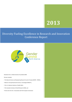2013 Diversity Fueling Excellence in Research and Innovation Conference Report
