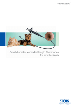Small diameter, extended length fi berscopes for small animals