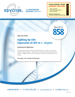 858 Lighting Up Life: Expression of GFP in Edvo-Kit #858