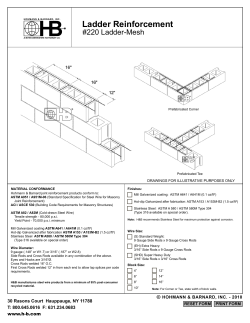 Ladder Reinforcement #220 Ladder-Mesh