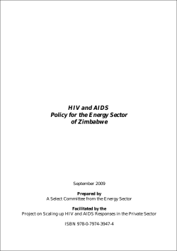 HIV and AIDS Policy for the Energy Sector of Zimbabwe