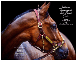 Indiana Thoroughbred Fall Mixed Sale