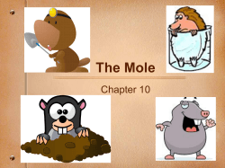 The Mole Chapter 10 1
