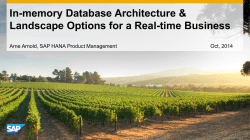 In-memory Database Architecture &amp; Landscape Options for a Real-time Business