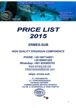 ERMES-SUB  HIGH QUALITY SPEARGUN COMPONENTS PHONE: +39 3407144021