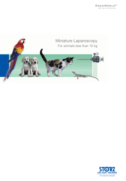Miniature Laparoscopy For animals less than 10 kg